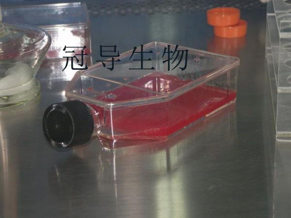 產品(3).jpg 產品(3).jpg