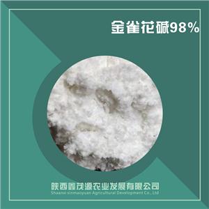 金雀花堿