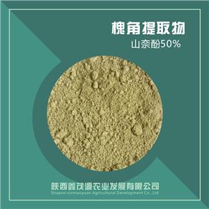 槐角提取物/山奈酚