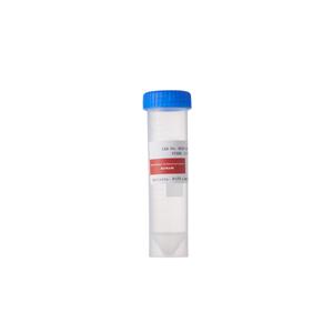 重組羧肽酶B Recombinant Carboxypeptidase B