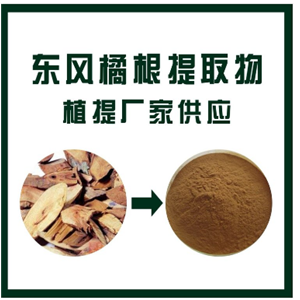 東風(fēng)橘根提取物
