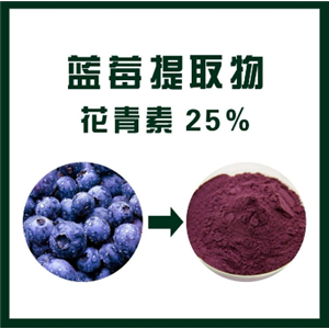 藍(lán)莓提取物