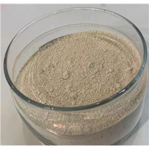 二氫槲皮素；花旗松素；雙氫槲皮素