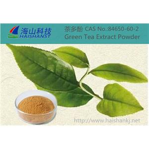 茶多酚；綠茶提取物