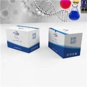 異微凸劍葉莎醇；異短尖劍豆酚；64474-51-7