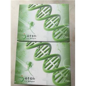 人肺癌標志物DR-70(DR-70TM)Elisa試劑盒