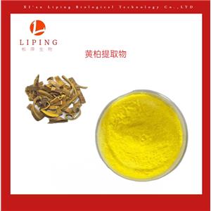 櫟萍生物現貨供應鹽酸小檗堿   黃連素97%  98%