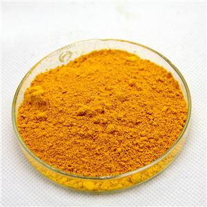 輔酶Q10， coenzyme Q10