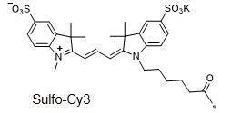 水溶性CY3  Sulfo-Cyanine3，磺化Cy3，sulfo-Cy3