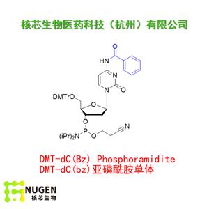 DMT-dC(bz)亞磷酰胺單體  工廠大貨 產(chǎn)品圖片