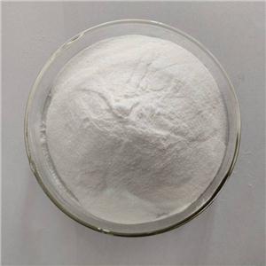 沙蒿膠生產(chǎn)廠家