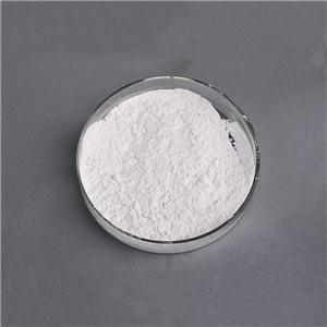 嫩肉粉生產(chǎn)廠家