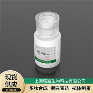 β-淀粉樣蛋白(1-40)，人