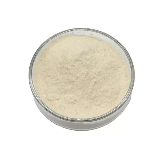 人參皂甙 Rh2