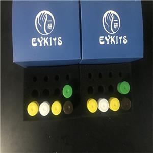 PCR?核酸檢測(cè)試劑盒