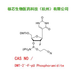 DMT-2'-F-pU Phosphoramidite 工廠大貨