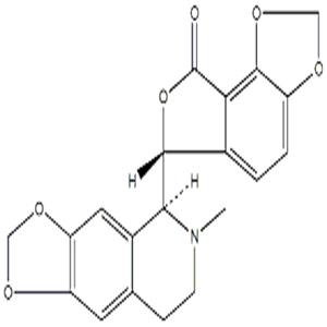 比枯枯靈
