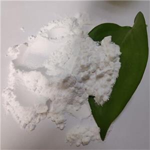 布洛芬廠家現(xiàn)貨 直銷 CAS：15687-27-1 