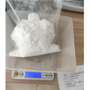 13030-09-6 L-谷氨酸-alpha-芐酯