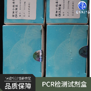 PCR試劑盒線粒體DNA檢測(cè)