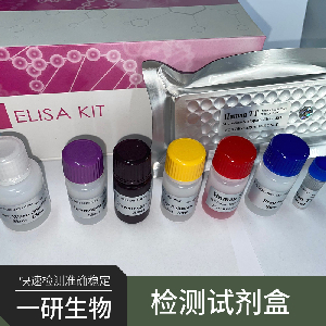 IL-13 Elisa Kit