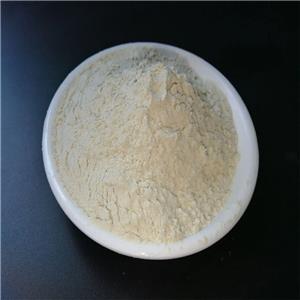 沙蒿膠生產(chǎn)廠家