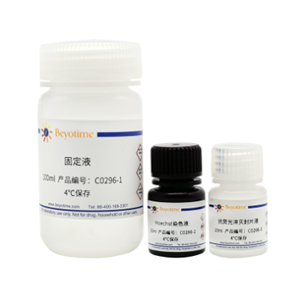 支原體染色檢測試劑盒
