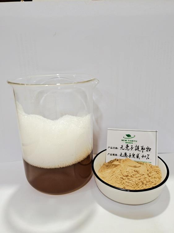 無(wú)患子提取物，無(wú)患子皂甙40%2.jpg
