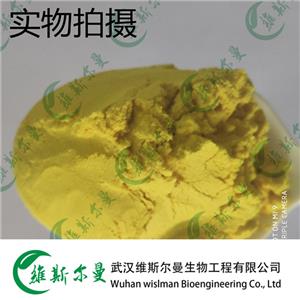 葉酸 59-30-3 維斯?fàn)柭锔呒冊噭?13419635609