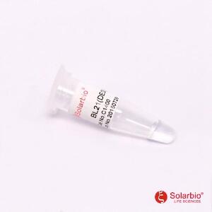 BL21(DE3)感受態(tài)細胞