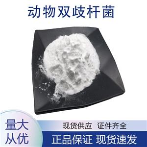 供應(yīng)動物雙歧桿菌動物亞種 動物雙歧桿菌