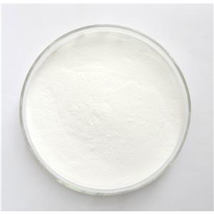 達米阿那提取物Damiana Leaf Extract Powder