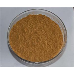 鐵皮石斛提取物10:1，多糖30%50% Dendrobium candidum extract