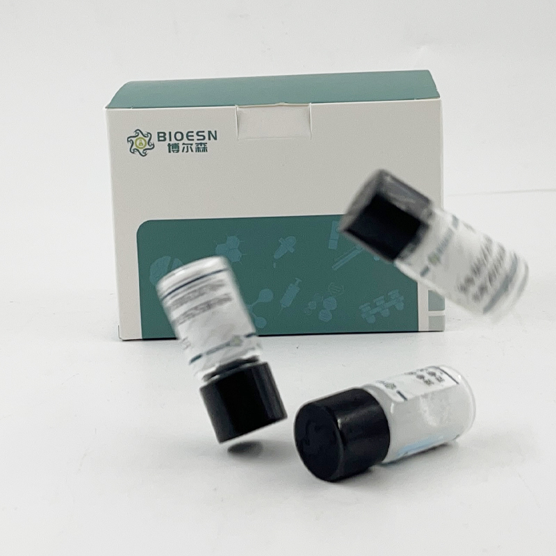 大鼠粒細胞巨噬細胞集落刺激因子(GMCSF) ELISA Kit