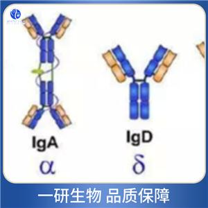 卷曲螺旋結(jié)構(gòu)域蛋白CHCHD8抗體