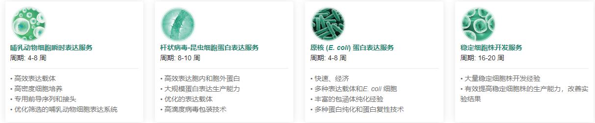 重組蛋白表達(dá)服務(wù)類型.png 重組蛋白表達(dá)服務(wù)類型.png