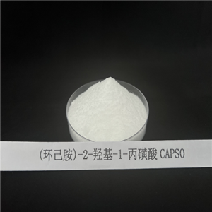 3-(環(huán)己胺)-2-羥基-1-丙磺酸CAPSO 73463-39-5