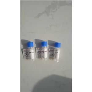 二硬脂酰基磷脂酰乙醇胺聚乙二醇多肽水凝膠MMPs（GGGGCTTHWGFTLC） DSPE-PEG-MMPs（GGGGCTTHWGFTLC）