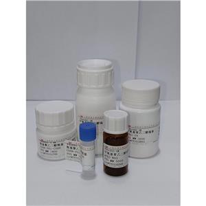 二硬脂?；字Ｒ掖及肪垡叶伎袢〔《倦腞VG  DSPE-PEG-RVG29;DSPE-PEG-YTIWMPENPRPGTPCDIFTNSRGKRASNG