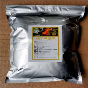 梔子黃色素食用面條上色鹽焗雞專用色商用