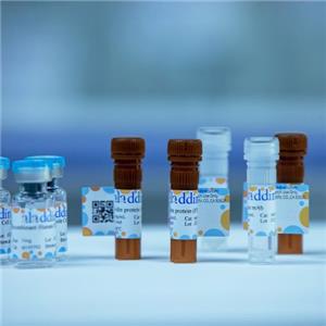 aladdin 阿拉丁 Z501400 Zymosan, Pre-activated 58856-93-2 1 x 10? zymosan particles/mL (10 mg/mL)
