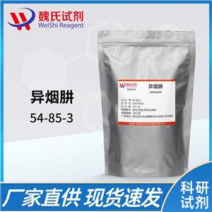 異煙肼—54-85-3