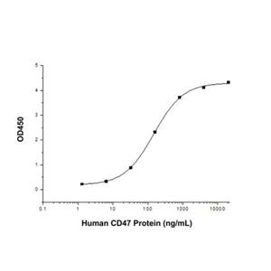 aladdin 阿拉丁 rp144028 Recombinant Human CD47 Protein Animal Free, >95% (SDS-PAGE), Active, HEK293, C-Fc tag, 19-139 aa