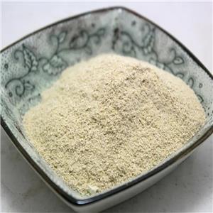 維綸膠