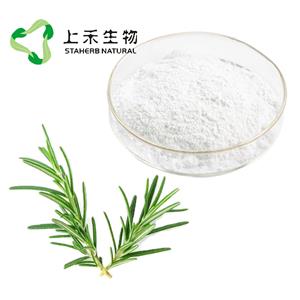 迷迭香提取物, 天然抗氧化劑，迷迭香酸，鼠尾草酸，熊果酸，Rosemary Herb Extract