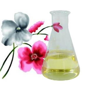 間甲氧基苯乙胺