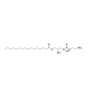 1-棕櫚?；?2-羥基-sn-甘油-3-磷酸乙醇胺