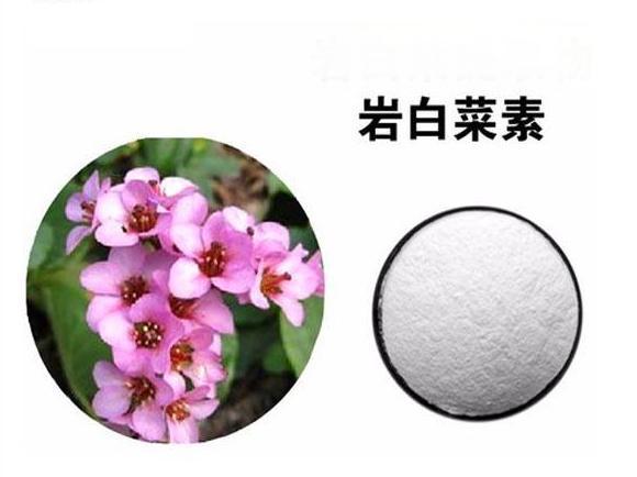 巖白菜素