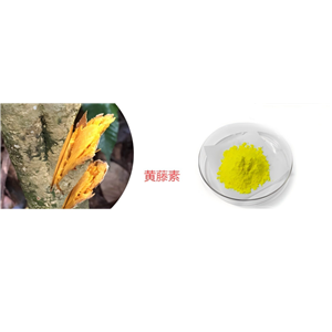 黃藤素，質(zhì)量保證，不滿意就退款是我們的承諾