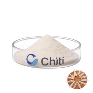 Chiti工廠供應(yīng)食品級(jí)高純度非變性雞二型膠原蛋白